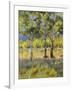 Aspens-Rusty Frentner-Framed Giclee Print