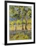 Aspens-Rusty Frentner-Framed Giclee Print