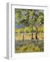 Aspens-Rusty Frentner-Framed Giclee Print