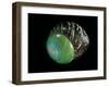 Asperitas Polymorpha-Paul Starosta-Framed Photographic Print