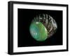 Asperitas Polymorpha-Paul Starosta-Framed Photographic Print