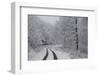 Asphalt Road Crossing a Forest Covered with Frost in Hungary-Joe Petersburger-Framed Photographic Print