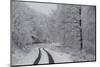 Asphalt Road Crossing a Forest Covered with Frost in Hungary-Joe Petersburger-Mounted Photographic Print