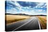 Asphalt Road in Tuscany Italy-Iakov Kalinin-Stretched Canvas