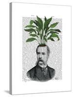 Aspidistra Head Plant Head-Fab Funky-Stretched Canvas