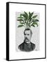 Aspidistra Head Plant Head-Fab Funky-Framed Stretched Canvas