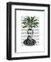 Aspidistra Head Plant Head-Fab Funky-Framed Art Print