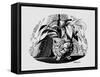 Aspidistra in a Bowl, 1950s-George Adamson-Framed Stretched Canvas