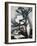 Aspidistra-Samuel John Peploe-Framed Giclee Print