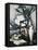 Aspidistra-Samuel John Peploe-Framed Stretched Canvas