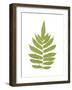 Aspidium Glandulosum-Edward Joseph Lowe-Framed Giclee Print