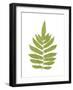 Aspidium Glandulosum-Edward Joseph Lowe-Framed Giclee Print