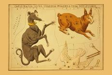 Canis Major, Lepus, Columba Noachi and Cela Sculptoris-Aspin Jehosaphat-Art Print