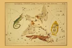 Lacerta, Cygnus, Lyra, Vulpecula and Anser-Aspin Jehosaphat-Art Print