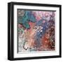 Aspire-Megan Aroon Duncanson-Framed Art Print