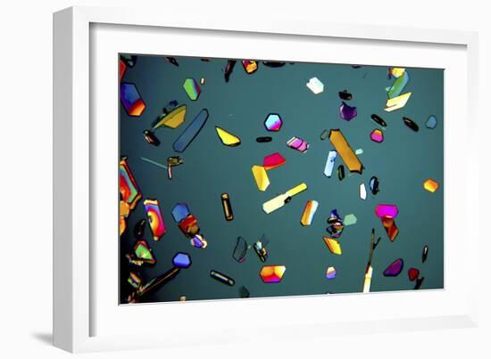 Aspirin Crystals, Light Micrograph-Robert Markus-Framed Photographic Print