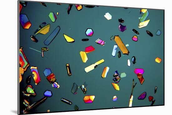 Aspirin Crystals, Light Micrograph-Robert Markus-Mounted Photographic Print