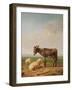 Ass and Sheep, 1849 (Oil)-Eugene Joseph Verboeckhoven-Framed Giclee Print