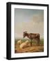 Ass and Sheep, 1849 (Oil)-Eugene Joseph Verboeckhoven-Framed Giclee Print