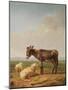 Ass and Sheep, 1849 (Oil)-Eugene Joseph Verboeckhoven-Mounted Giclee Print