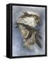 Assail-Barbara Keith-Framed Stretched Canvas