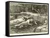 Assassination of Col Flatters and Party-null-Framed Stretched Canvas