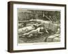 Assassination of Col Flatters and Party-null-Framed Giclee Print