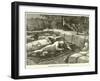 Assassination of Col Flatters and Party-null-Framed Giclee Print