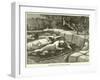 Assassination of Col Flatters and Party-null-Framed Giclee Print