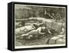 Assassination of Col Flatters and Party-null-Framed Stretched Canvas