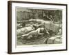 Assassination of Col Flatters and Party-null-Framed Giclee Print