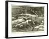 Assassination of Col Flatters and Party-null-Framed Giclee Print