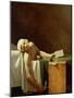 Assassination of Jean-Paul Marat in His Bath, 1793-Jacques-Louis David-Mounted Giclee Print