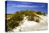 Assateague Beach 1-Alan Hausenflock-Stretched Canvas