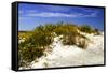 Assateague Beach 1-Alan Hausenflock-Framed Stretched Canvas