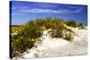 Assateague Beach 1-Alan Hausenflock-Stretched Canvas