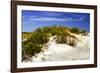 Assateague Beach 1-Alan Hausenflock-Framed Photographic Print