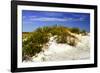 Assateague Beach 1-Alan Hausenflock-Framed Photographic Print