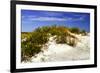 Assateague Beach 1-Alan Hausenflock-Framed Photographic Print