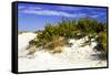 Assateague Beach 2-Alan Hausenflock-Framed Stretched Canvas