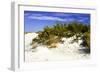 Assateague Beach 2-Alan Hausenflock-Framed Photographic Print