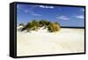 Assateague Beach 3-Alan Hausenflock-Framed Stretched Canvas