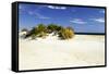 Assateague Beach 3-Alan Hausenflock-Framed Stretched Canvas