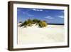 Assateague Beach 3-Alan Hausenflock-Framed Photographic Print