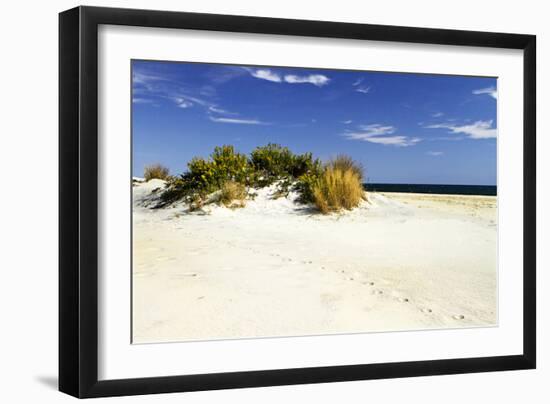 Assateague Beach 3-Alan Hausenflock-Framed Photographic Print