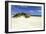 Assateague Beach 3-Alan Hausenflock-Framed Photographic Print