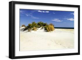 Assateague Beach 3-Alan Hausenflock-Framed Photographic Print