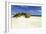 Assateague Beach 3-Alan Hausenflock-Framed Photographic Print