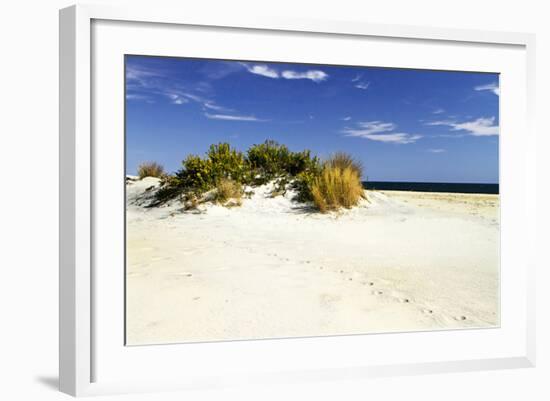 Assateague Beach 3-Alan Hausenflock-Framed Photographic Print