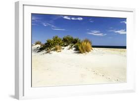 Assateague Beach 3-Alan Hausenflock-Framed Photographic Print